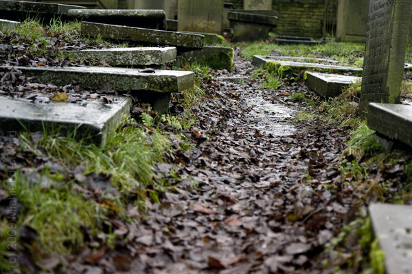 005 - Cemetery